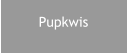 Pupkwis