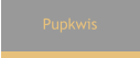 Pupkwis